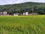 乡村田野