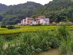 乡村田野