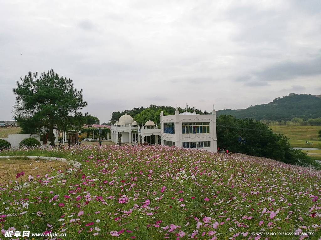 花丛中的小屋