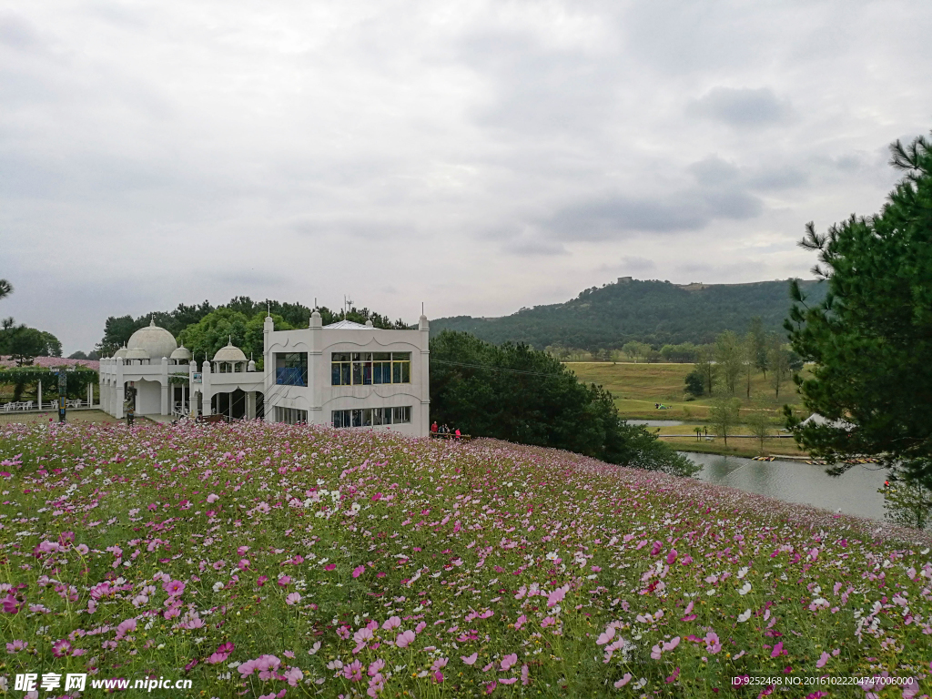 花园小屋