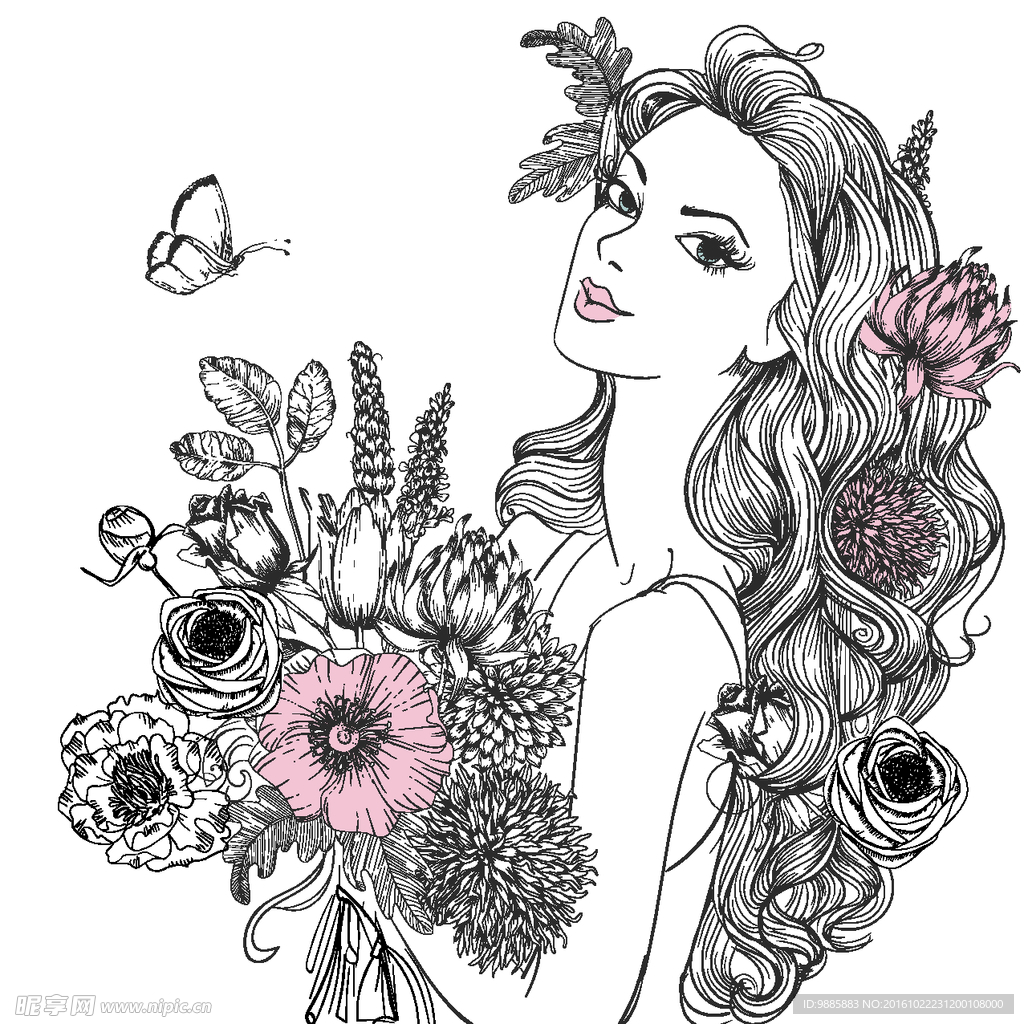 美女插画