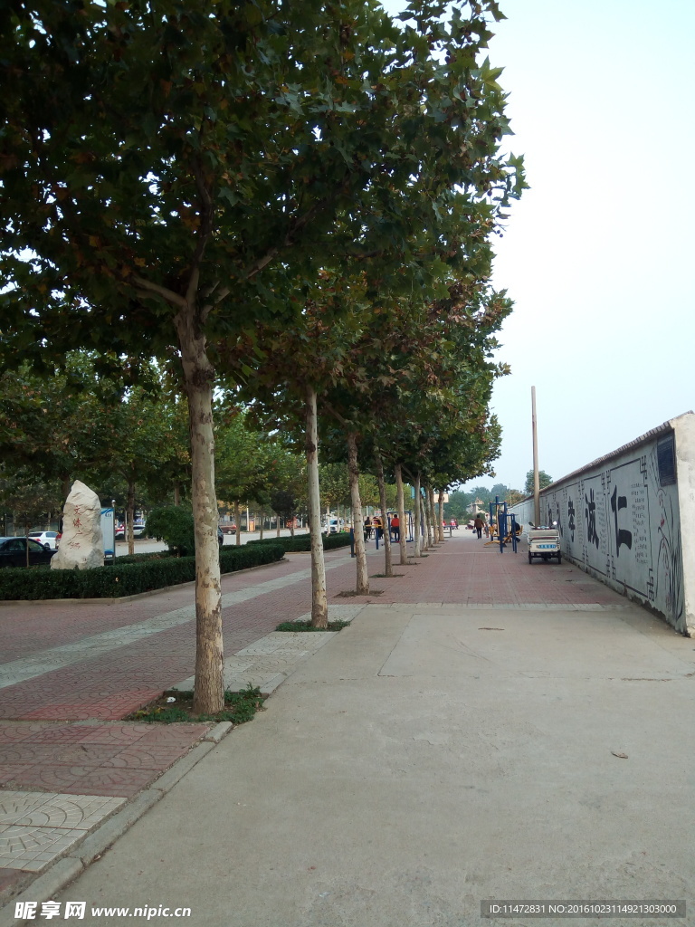 道路