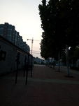 黄昏