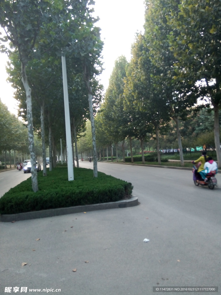 道路