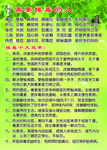 排毒十大效果