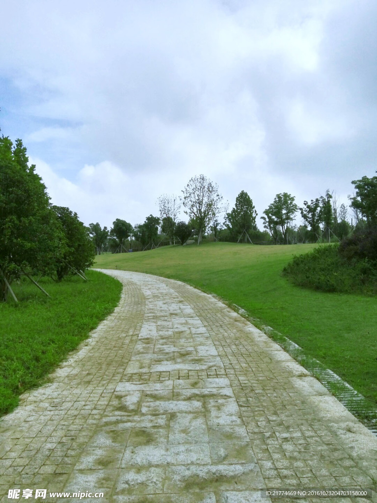 公园石板路