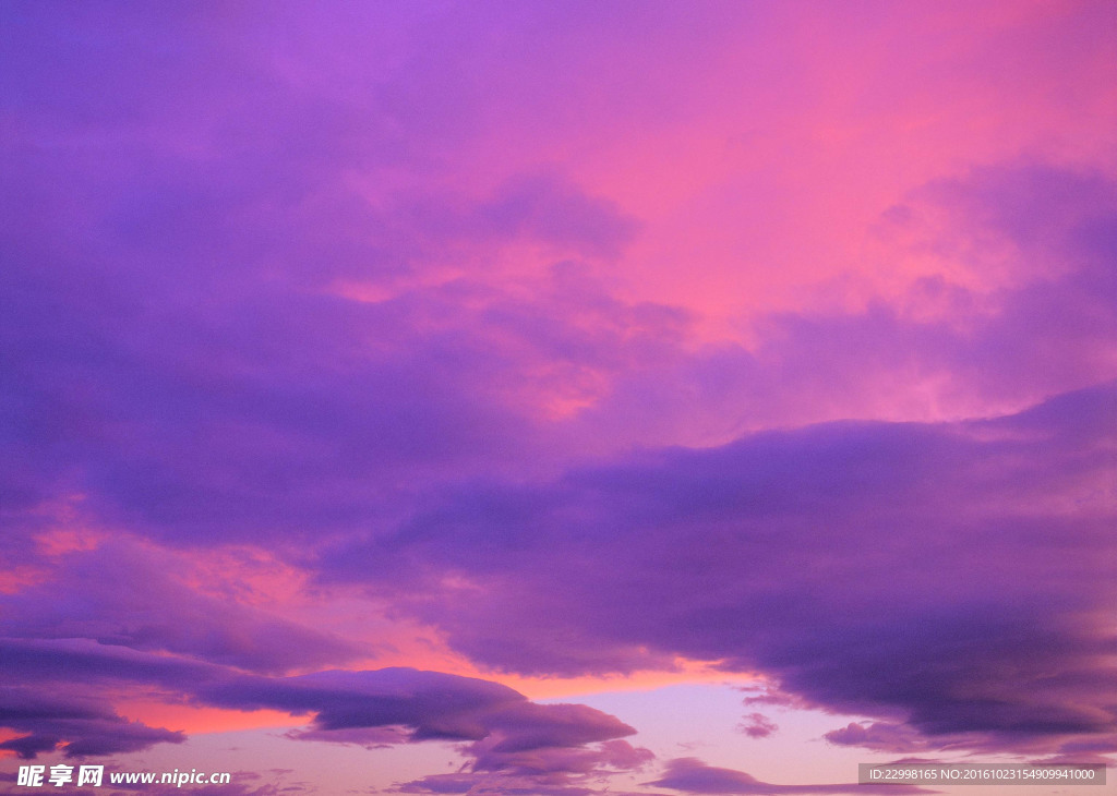 夕阳紫色背景