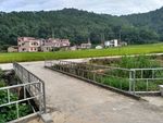 田园小路