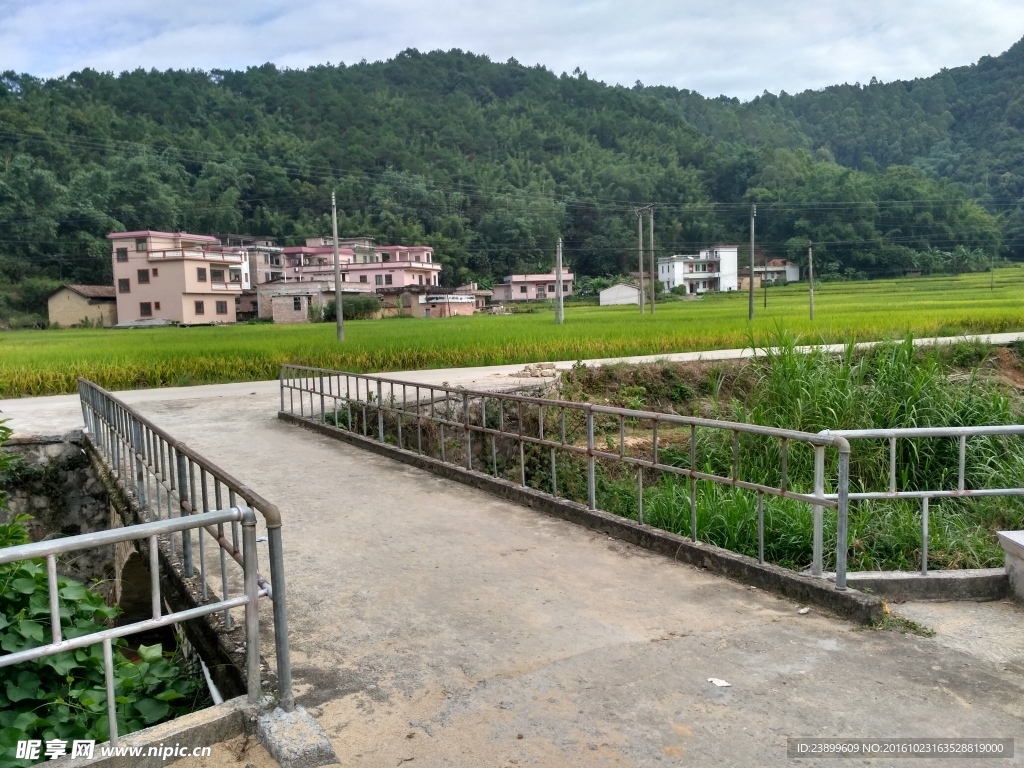 田园小路
