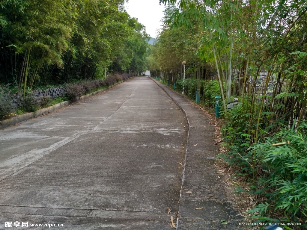 竹林绿道
