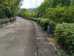 竹林绿道