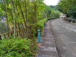 竹林绿道