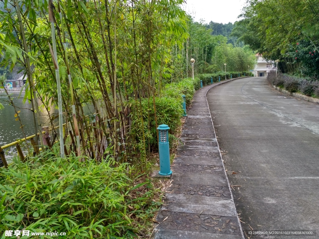 竹林绿道