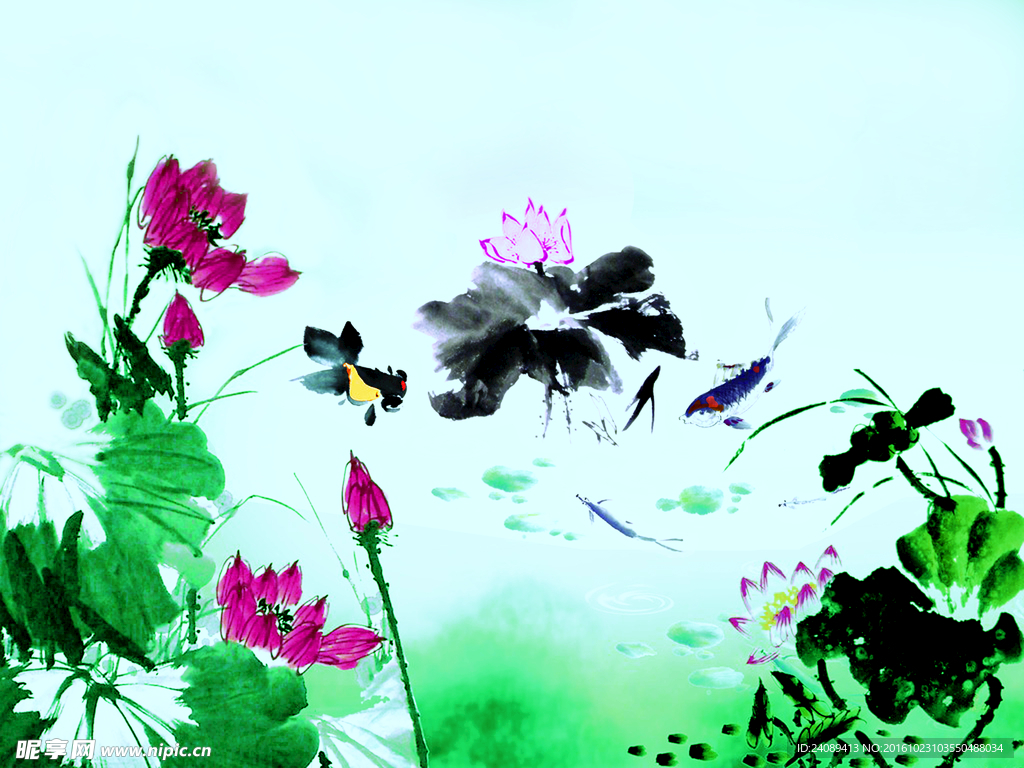 荷花