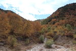 山林