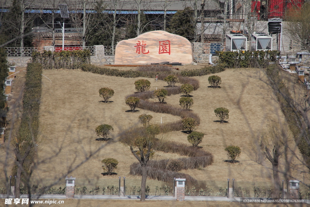 龙花草造型