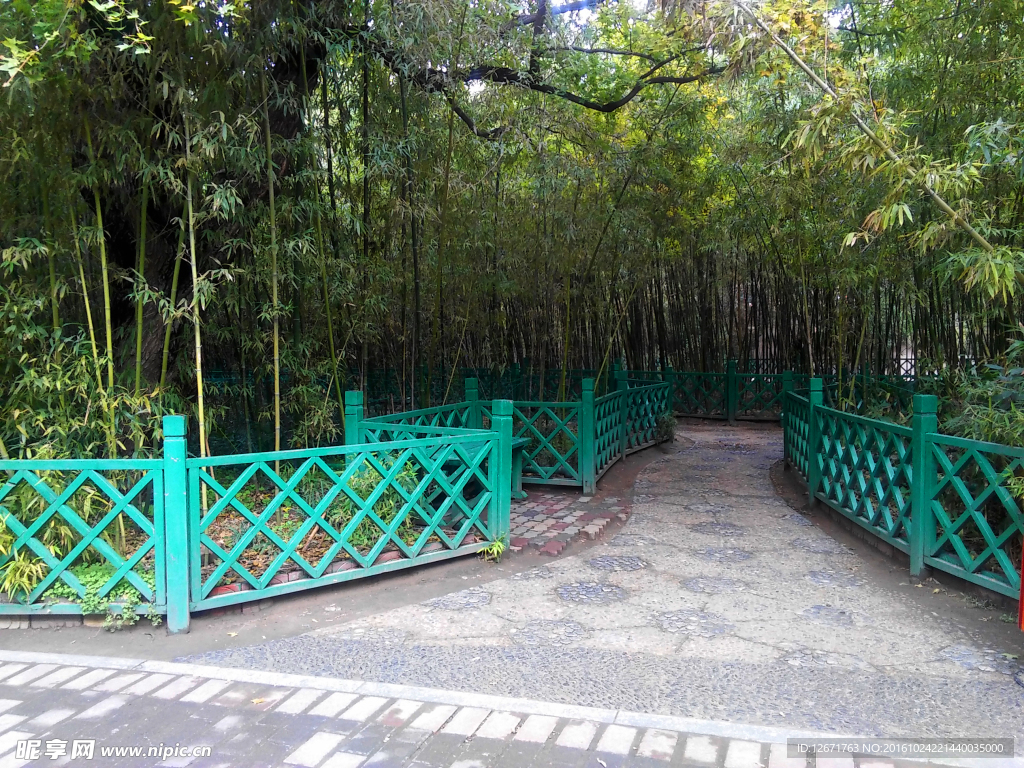 公园一景