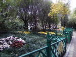 公园一景