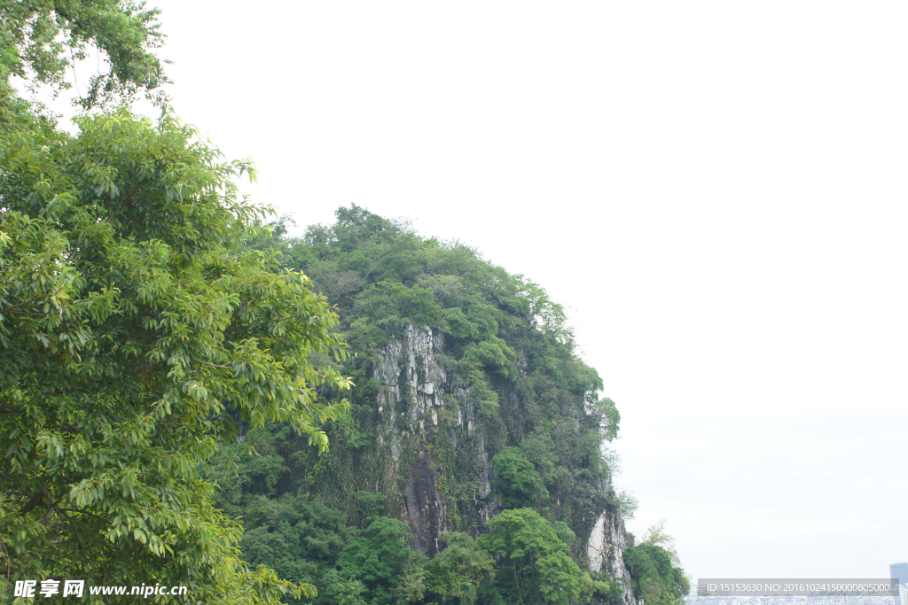 青山  绿树