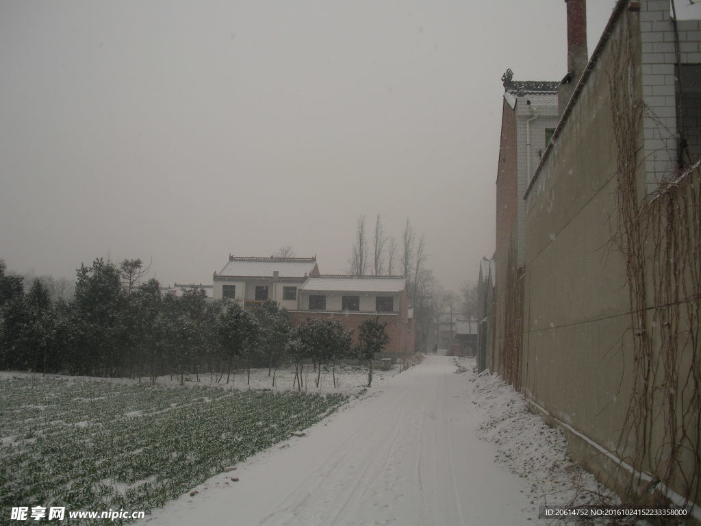 雪天的道路