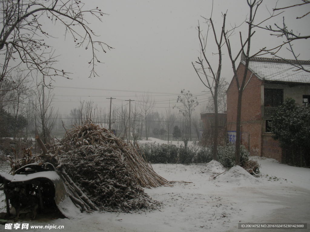 大雪过后的农村风景