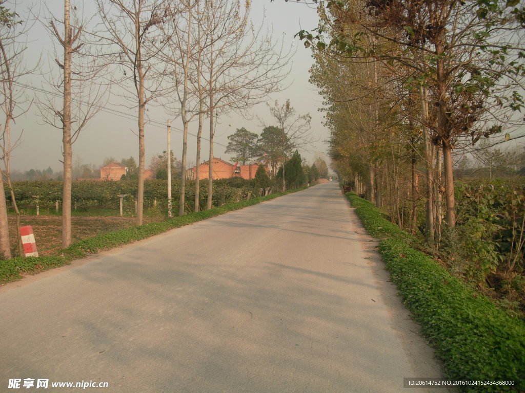乡村公路