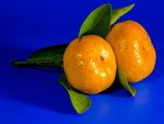 新鲜的橘子水果高清图片