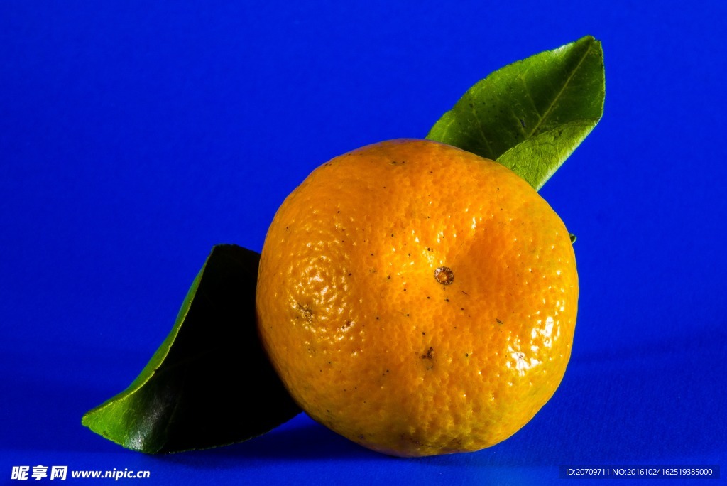高清大图新鲜橘子