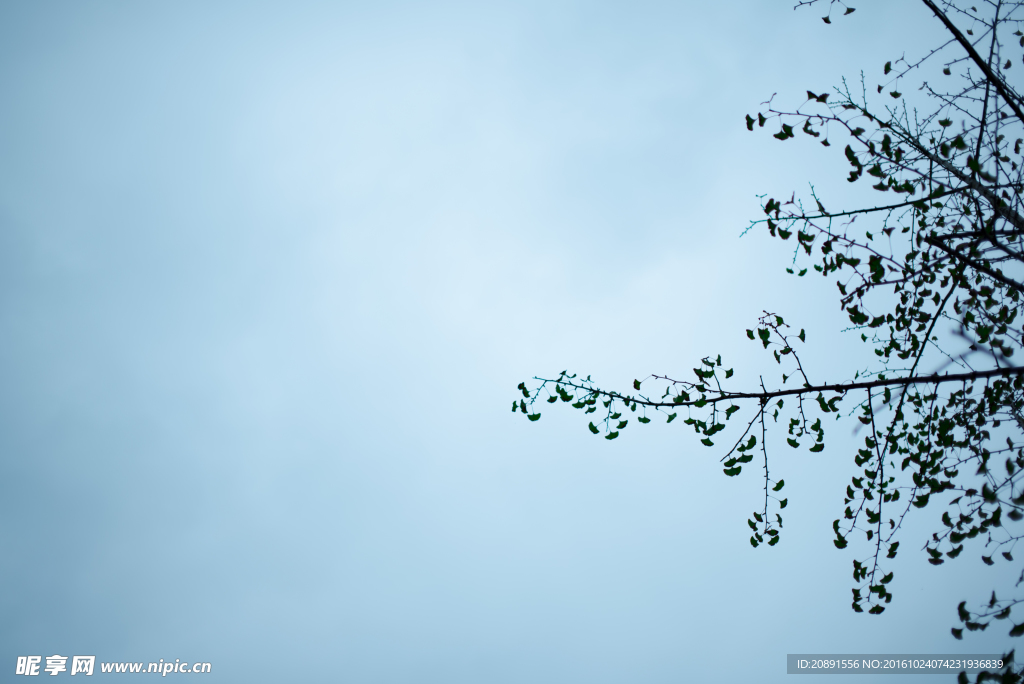天空