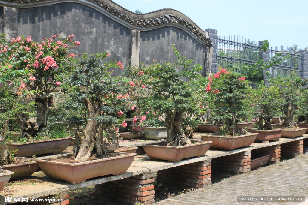 植物园