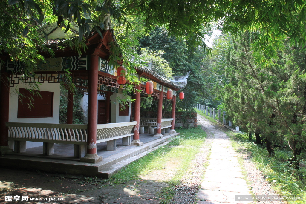 公园景色