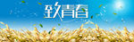 致青春背景