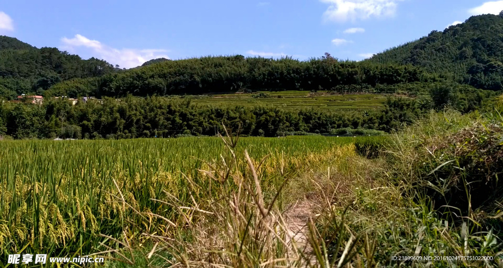 云层飘过的山川田野 延时摄影