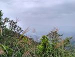 山峰