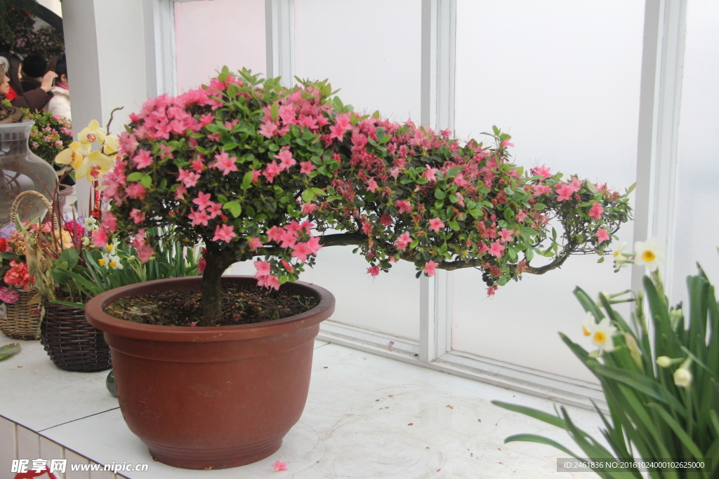 花
