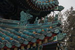屋脊
