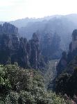 武陵园森林公园