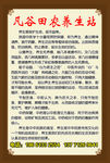 养生理疗海报
