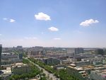 城市