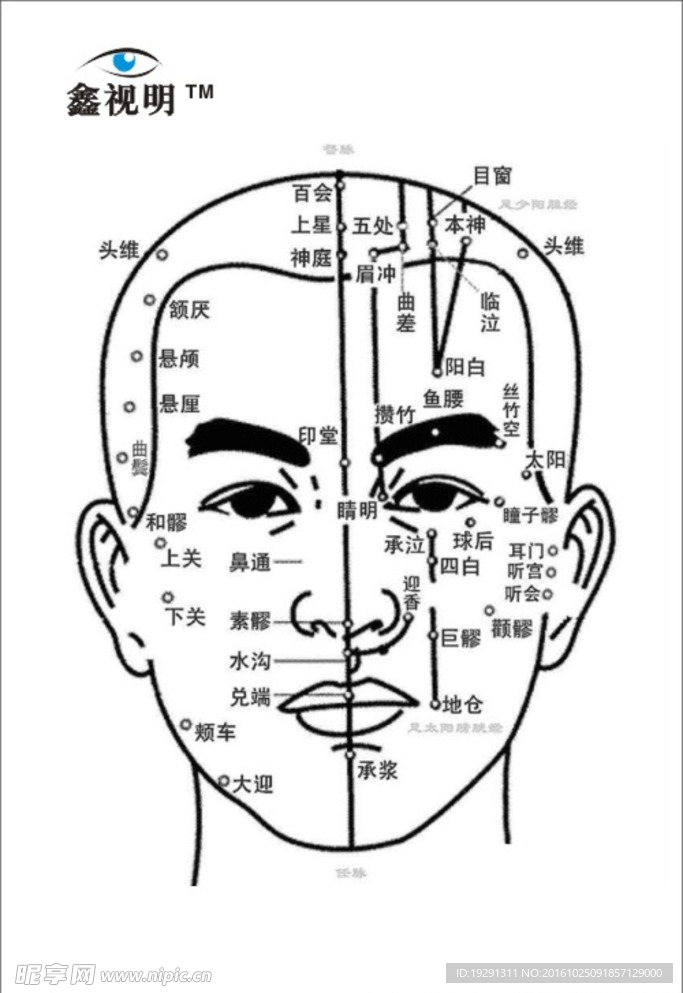 鑫视明穴位图