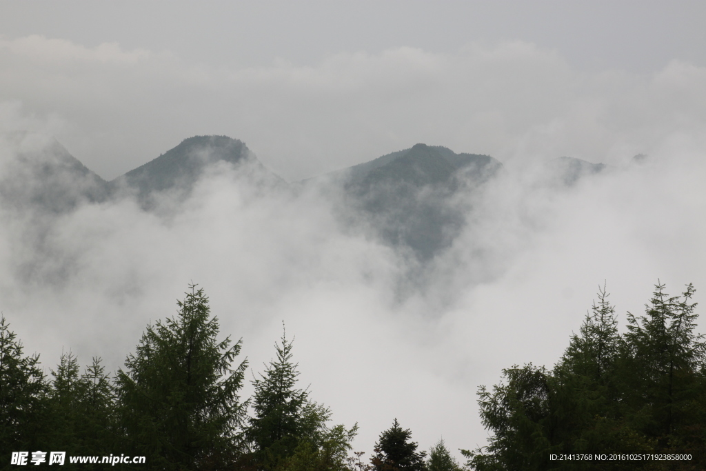 云海雾山