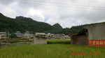 本寨新村