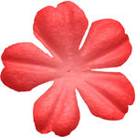红色花瓣
