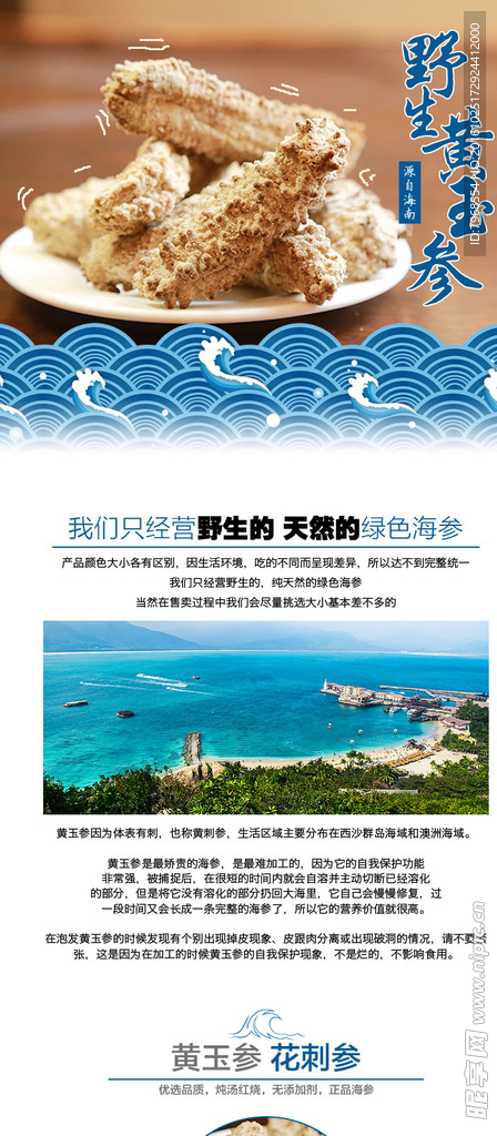 黄玉参