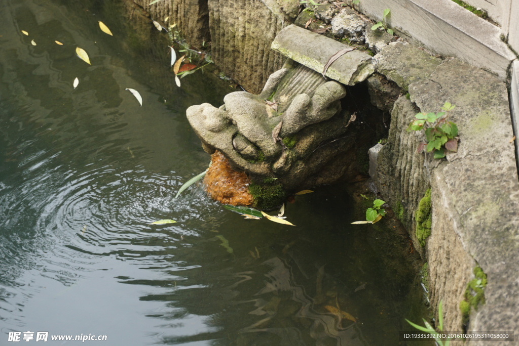 龙吐水