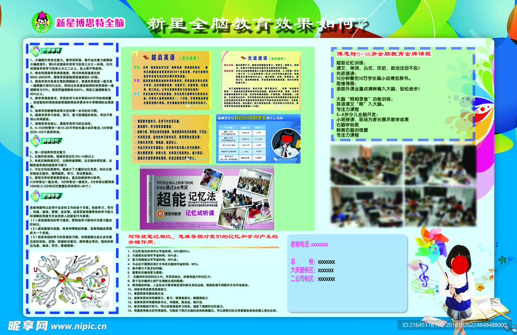 全脑教育