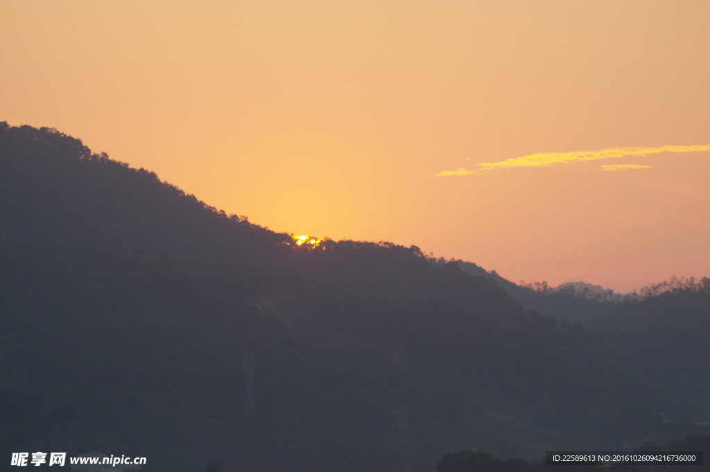 夕阳红