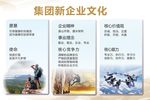 企业文化背景版