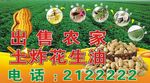 花生油