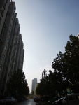 小区景色